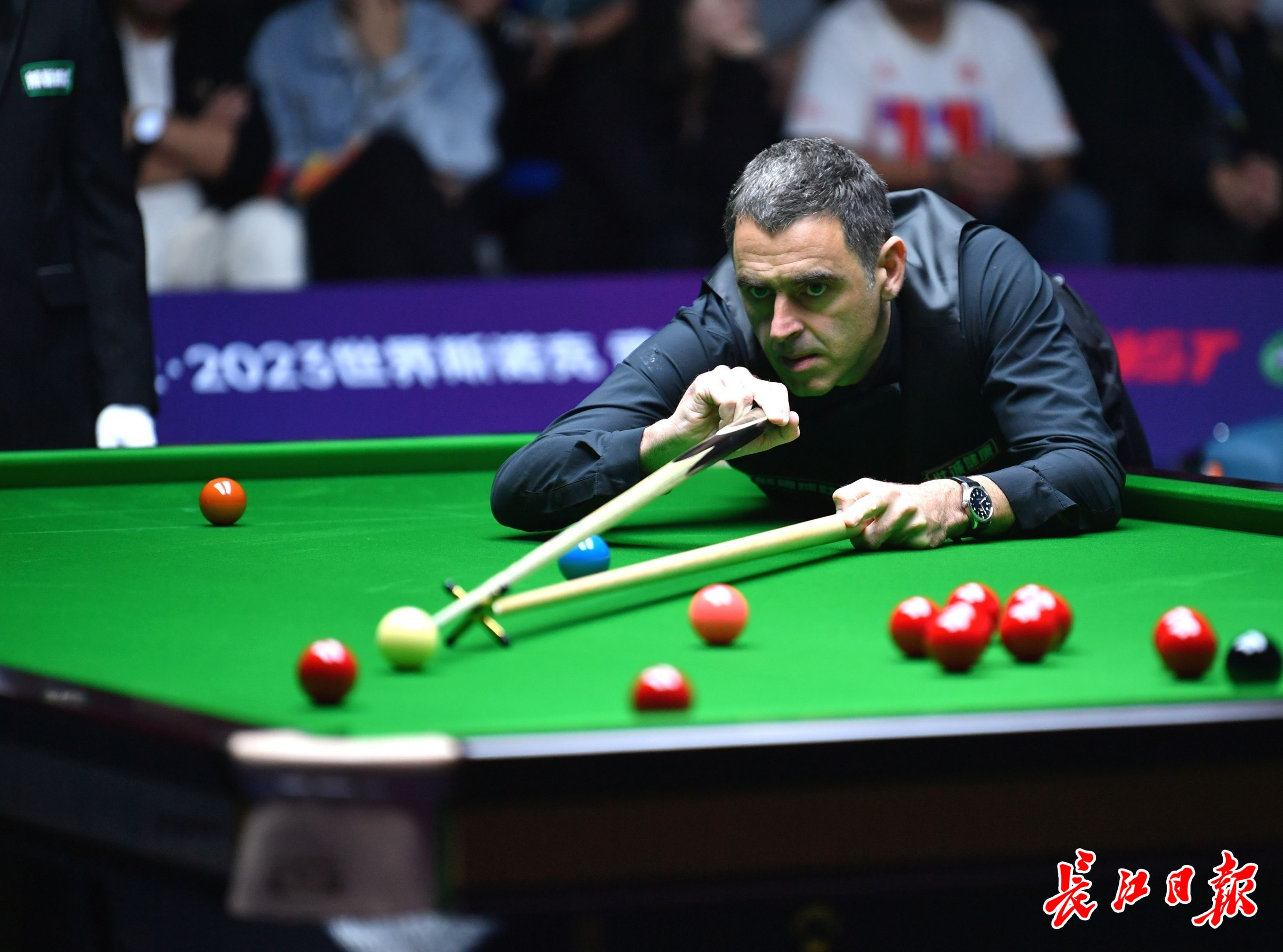 员树立了榜 员树立了榜